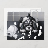 何も証明できません。ポストカード ポストカード (正面/裏面)