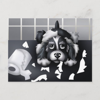 何も証明できません。ポストカード ポストカード