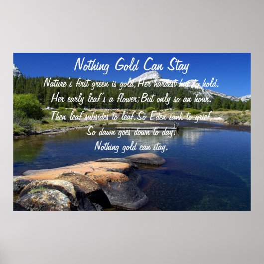 何も金ゴールドがポスターに残らない5 ポスター (正面)