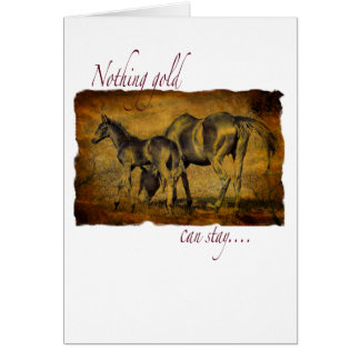 何も金ゴールドとどまることができません