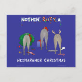 何もWeimaranerのクリスマスを接合しません シーズンポストカード (正面)