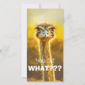 何をしたんだ??? (正面)