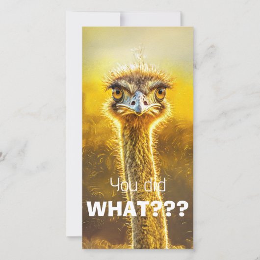 何をしたんだ??? (正面)