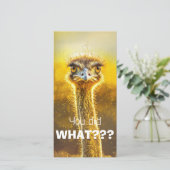 何をしたんだ??? (スタンド正面)