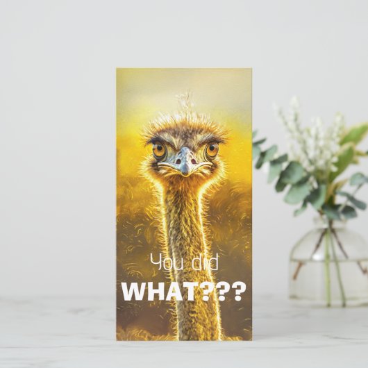 何をしたんだ??? (スタンド正面)