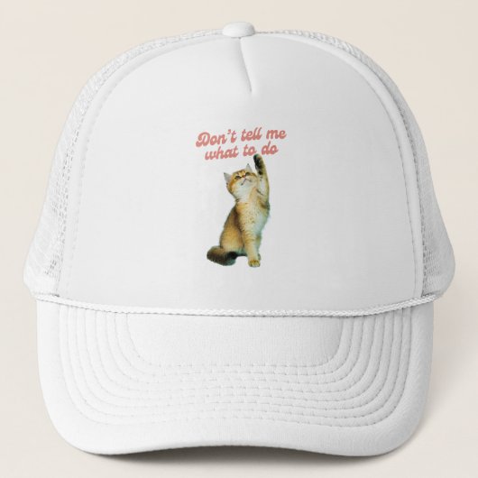 何をすべきか教えてはいけないミーム猫好きギフト キャップ (正面)