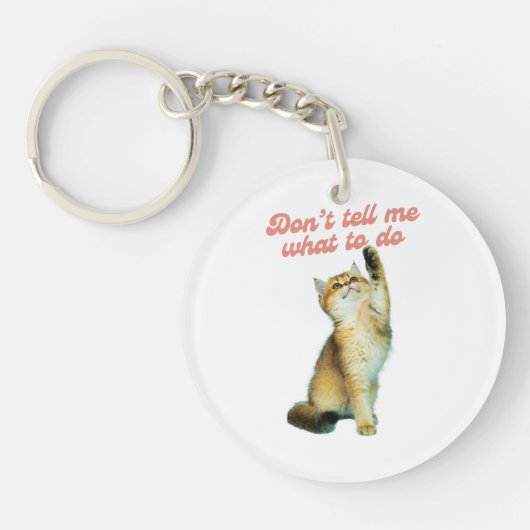 何をすべきか教えてはいけないミーム猫好きギフト キーホルダー (正面)