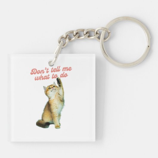 何をすべきか教えてはいけないミーム猫好きギフト キーホルダー (裏面)