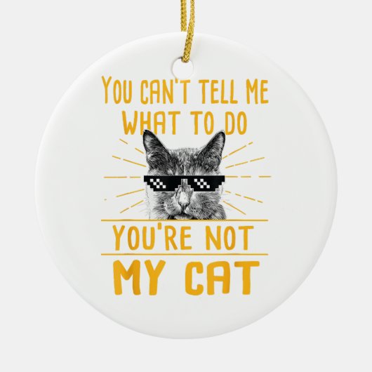 何をすべきか教えられない – おもしろい猫好きキット セラミックオーナメント (正面)