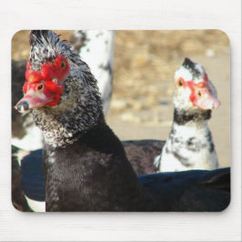 「何をやってるんだ？」 マウスパッド