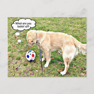 何を見ているのゴールデン顔オフ ポストカード