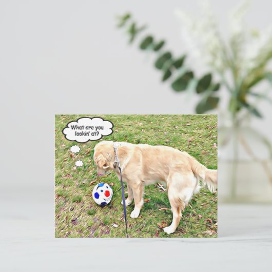 何を見ているのゴールデン顔オフ ポストカード (スタンド正面)