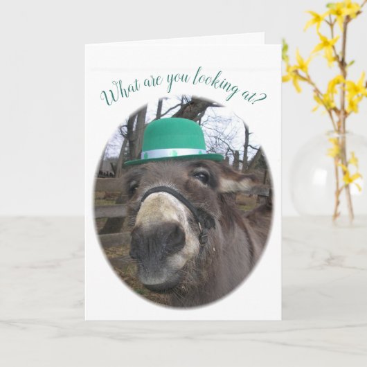 「何を見ているんだ？」 カード (黄色い花)