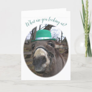 「何を見てるの？」 カード