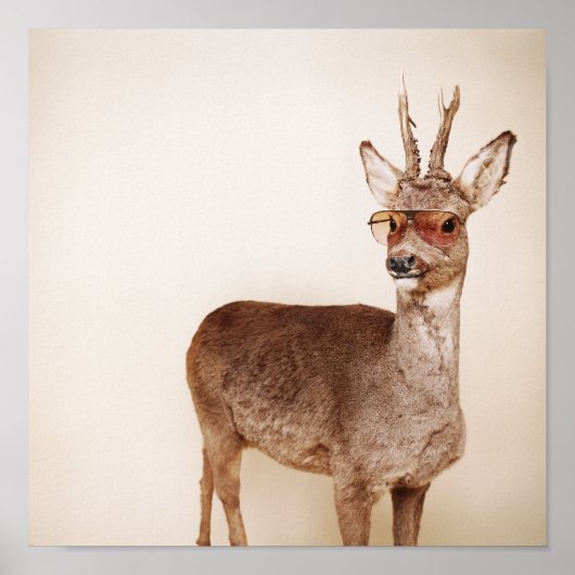 何を見てるの？ ポスター (正面)