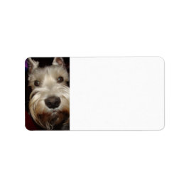 何を見てるの？ ラベル