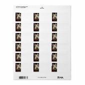 何を見てるの？ ラベル (フルシート)