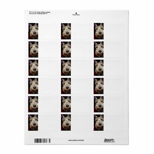 何を見てるの? ラベル (フルシート)