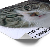 何を見てるんだ?!?! ポスター (角)