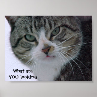 何を見てるんだ?!?! ポスター