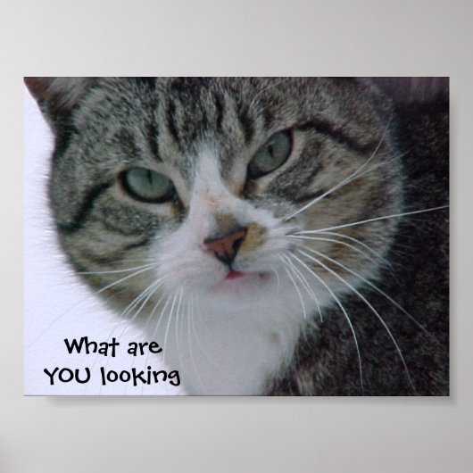 何を見てるんだ?!?! ポスター (正面)