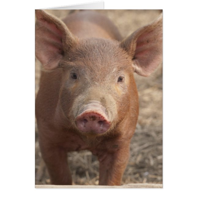 何を言いましたか。 (正面)