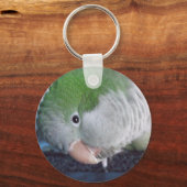 何を言ってる?クエーカーパレーケ キーホルダー (正面)