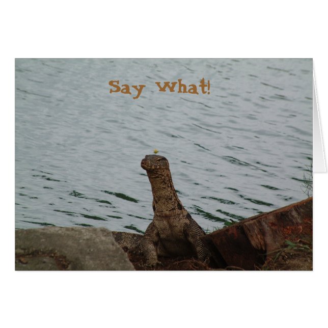 何を言って下さい! 水モニタ (正面横)