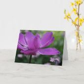 何を隠してる?アネモン花の写真カード カード (黄色い花)