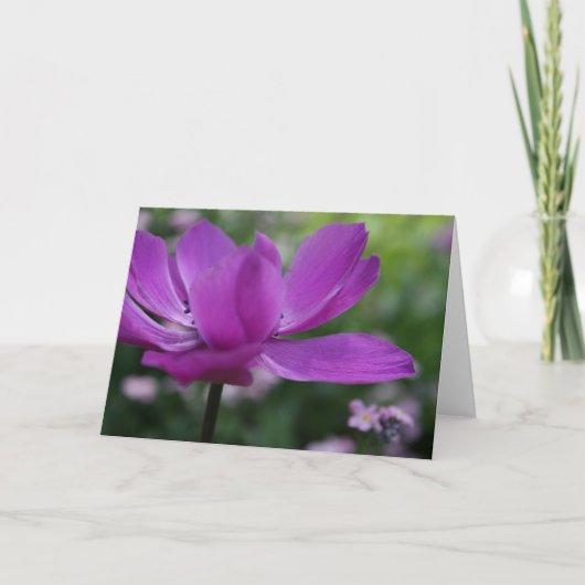 何を隠してる?アネモン花の写真カード カード (正面)