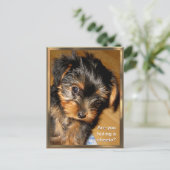 何を隠してる?カスタマイズ可能なポストカード ポストカード (スタンド正面)