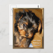 何を隠してる?カスタマイズ可能なポストカード ポストカード (正面/裏面)