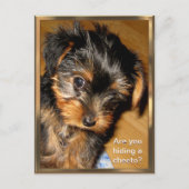 何を隠してる？カスタマイズ可能なポストカード ポストカード (正面)