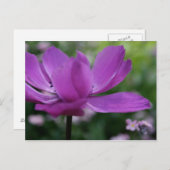 何を隠してる? ポストカード (正面/裏面)