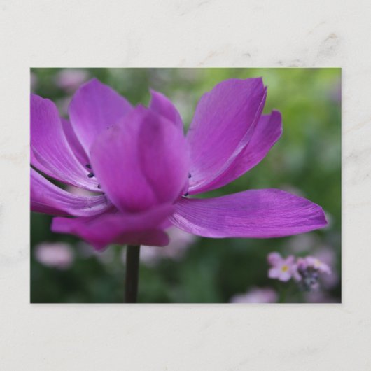 何を隠してる? ポストカード (正面)