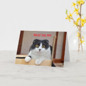 何を???ベルト付き誕生日カード カード (黄色い花)