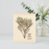 何カスタマイズだ?ポストカード ポストカード (スタンド正面)