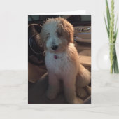 何マイルも走って言いたいハッピーバースデー カード (正面)