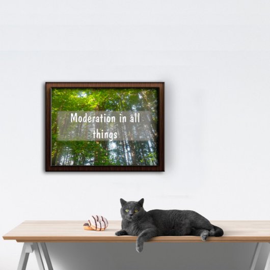 何事も穏健なポスター感動的だ ポスター