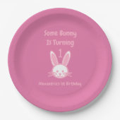 何人かのバニーが一つの誕生日を回している ペーパープレート (正面)