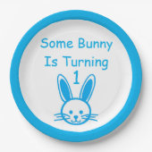 何人かのバニーが一つの誕生日を回している ペーパープレート (正面)
