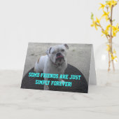 何人かの友人はちょうど単に永久にあります カード (黄色い花)