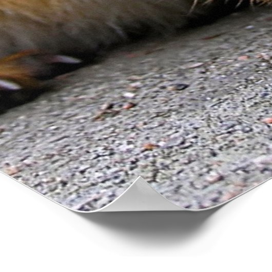 何得だ？ ポスター (角)