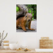 何得だ？ ポスター (キッチン)