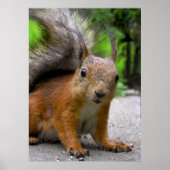 何得だ？ ポスター (正面)