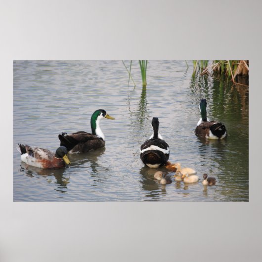 何忙しも言わない ポスター (正面)