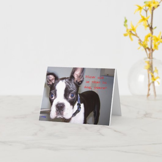 何歳だ？ カード (黄色い花)