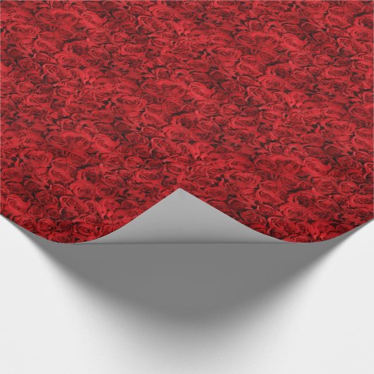 何百もの美しく赤いバラ ラッピングペーパー (角)