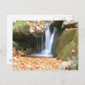 何違うか ポストカード (正面/裏面)