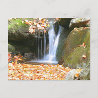 何違うか ポストカード